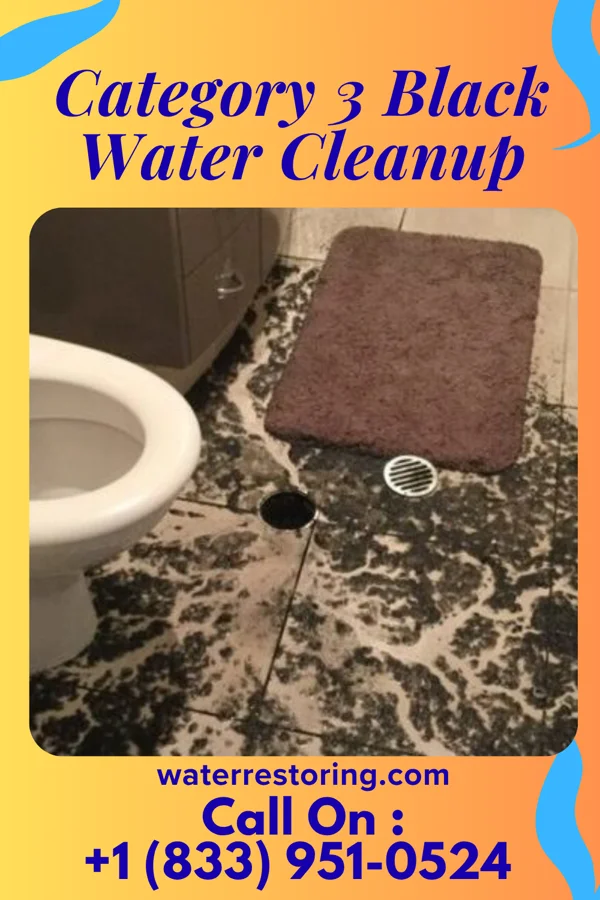 Category 3 Black Water Cleanup in Neshkoro, WI