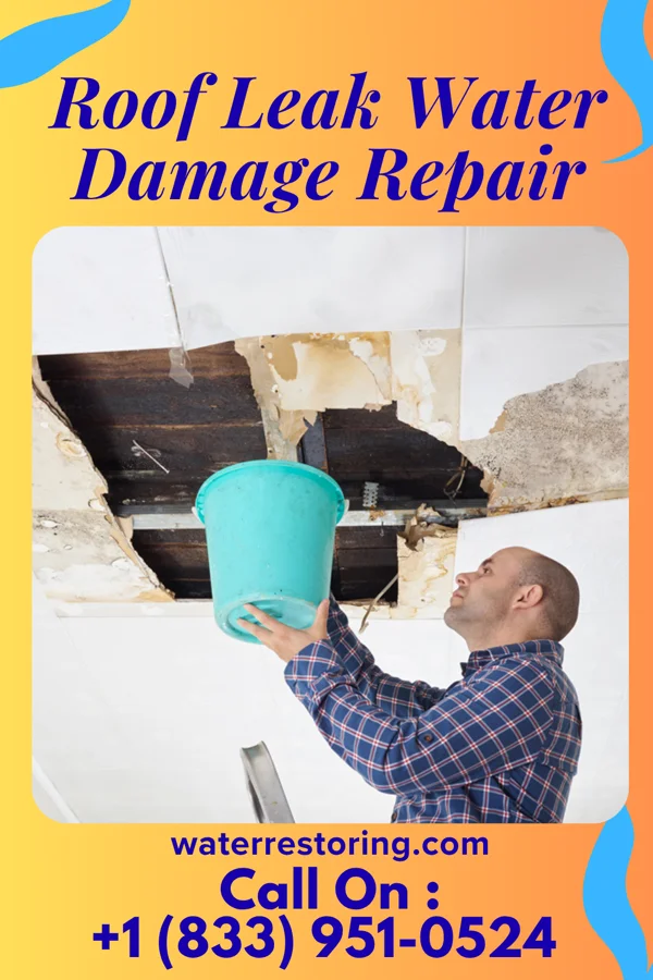 Roof Leak Water Damage Repair in Neshkoro, WI