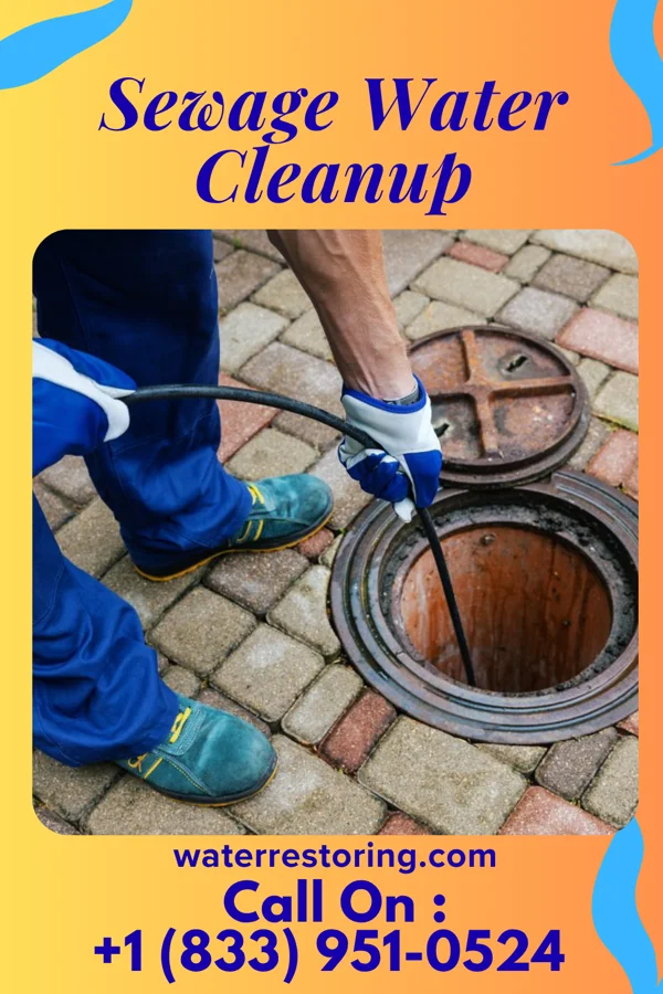 Sewage Water Cleanup in Neshkoro, WI