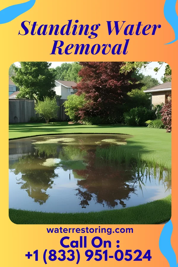 Standing Water Removal in Neshkoro, WI